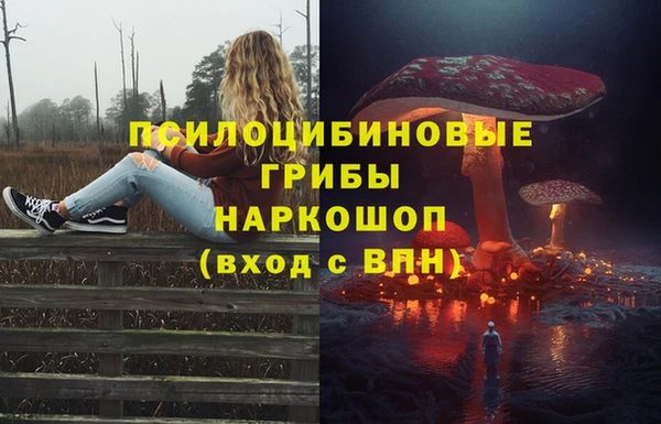 герыч Болотное